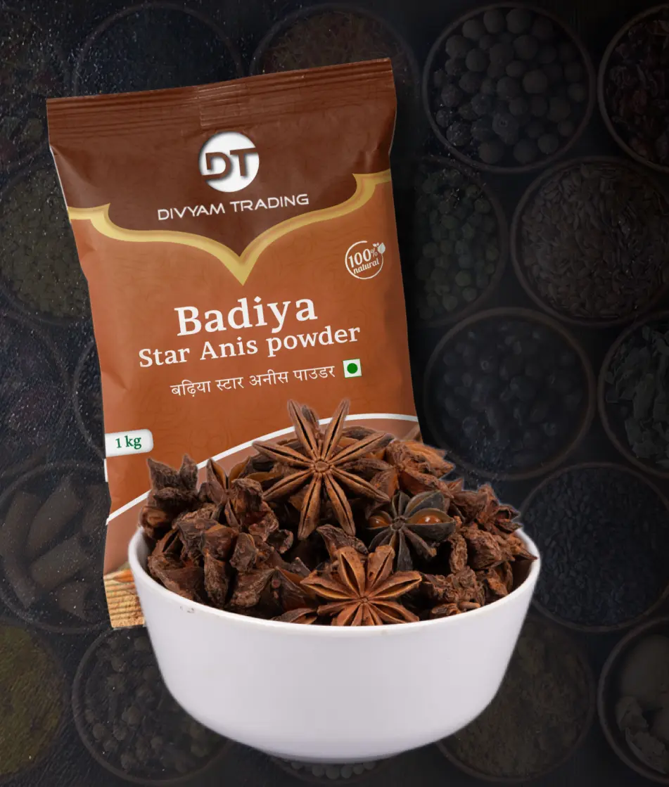 Star Anise Powder Badiya Divyam